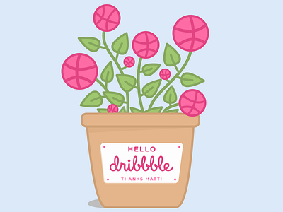 Hi there, Dribbble! debut dribble flower hello hi illustration leaf leaves plant