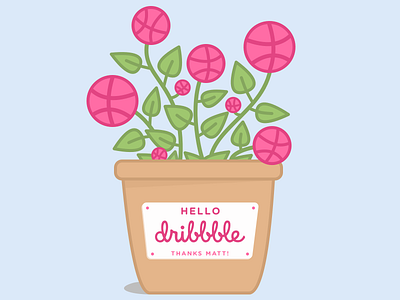 Hi there, Dribbble!