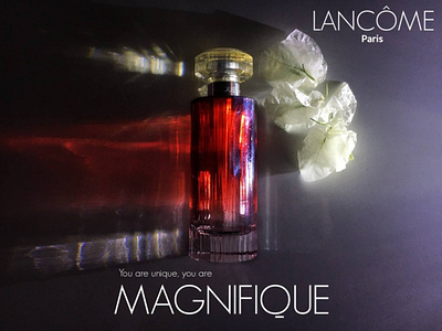 Lancome, Magnifique branding design graphic design nofilter photo photoediting photography typography