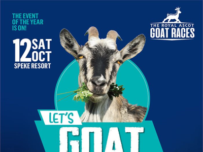Poster for goat race competitions design print