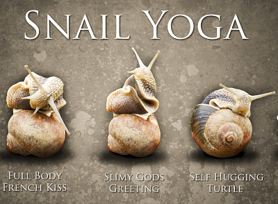 Snail Yoga body funny gym health joke shell snail well being wellness yoga