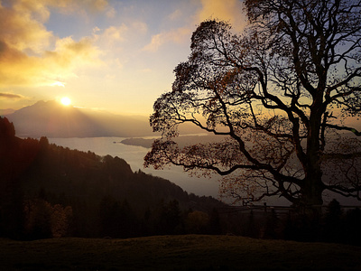 Sunset in the Swiss Alps alps dawn dusk evening mountain sun sunbeam sunset swiss tree