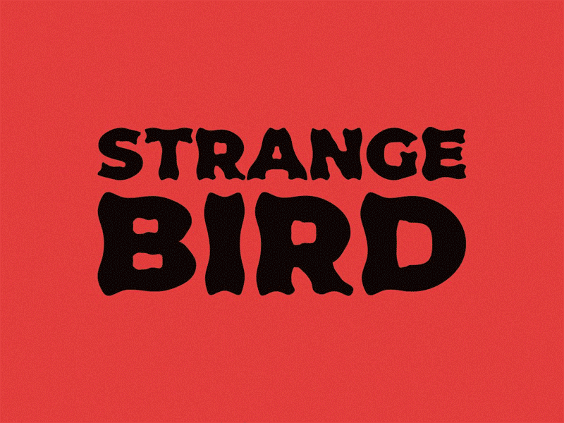 STRANGE BIRD - Font Remix