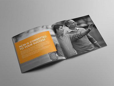 Brochure Work