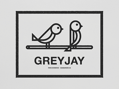 Grey Jay bird canada icon illustration line art