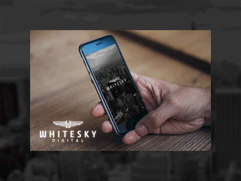 Whitesky Splashscreen aircraft app design ios splash screen ui gif ux