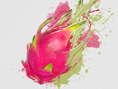 Dragon Fruit dragon fruit fruit illustrator photoshop