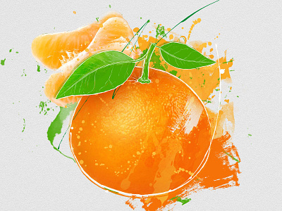 Tangerine fruit illustrator photoshop tangerine