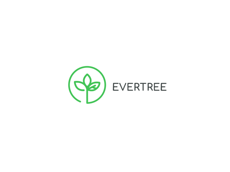 Evertree after effects animation flat lines logo logo design logotype motion design organic tree