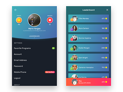 Net Connect - Profile & Leaderboard blue dark gradient leaderboard netconnect ui ux