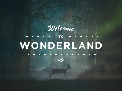 Welcome to Wonderland dark deer forest gate gotham welcome wonderland wood