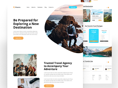 Phoenix Travel - Web UI Kit Template figma