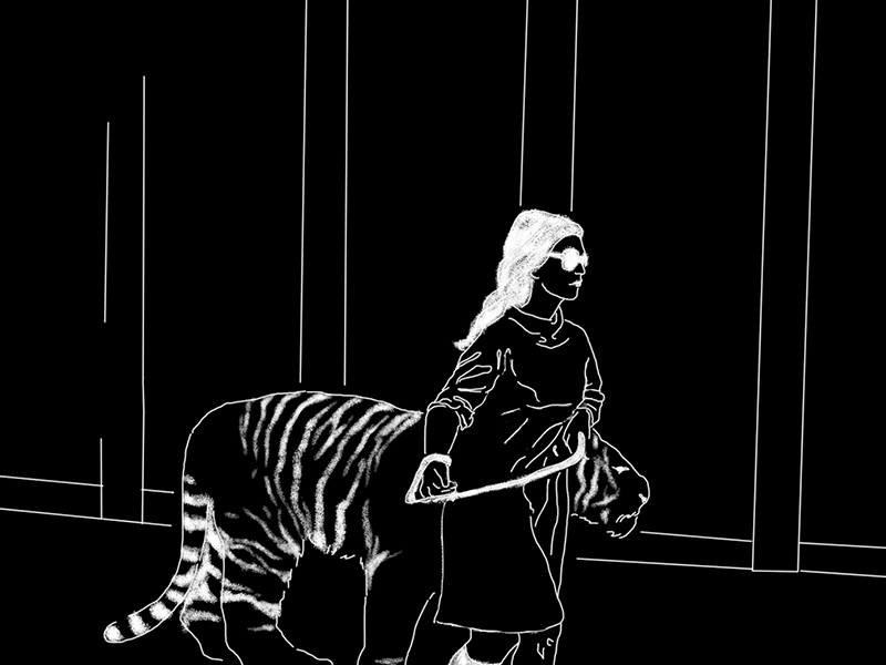 Girl & Tiger girl rotoscopie rotoscoping tiger tigre