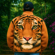 Hafid