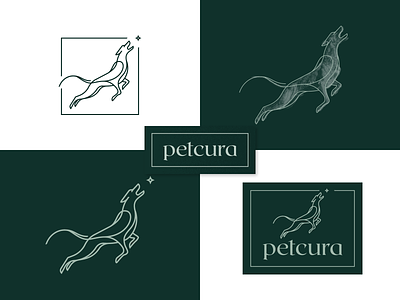 Petcura Logo Design animal branding care cura design dog food frame gedas meskunas glogo greyhound icon illustration lineart logo outline pet star vector vet