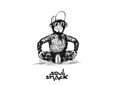 Soul Shack animal board chill chimp shack soul sport wake wakeboard water