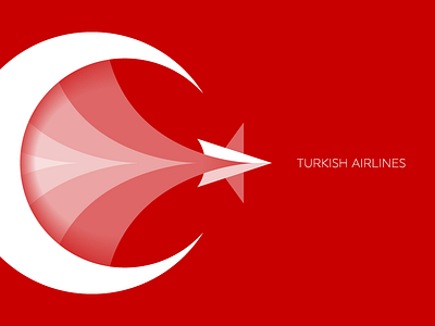 Turkish Airlines agency air flag lines moon plane rebrand red star travel trip turkey