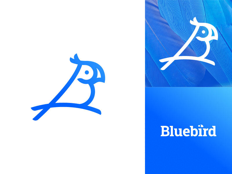 B + bird / Bluebird logo design process animal bird bluebird branding design flight gedas meskunas glogo gradient icon illustration letter line logo logo creation monogram outline parrot process