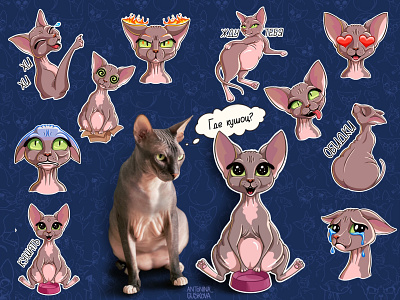 Sphinx stickers cat character digital art fat cat illustration kitty procreate sphinx sticker sticker pac