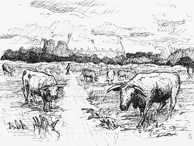 Coldham's Common bw cambridge cow cows drawing ink inktober inktober2015 pen penandink sketch