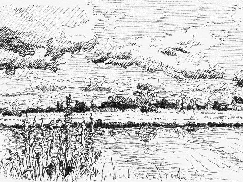 Ditton Meadows, River Cam, Cambridge bw cambridge drawing ink inktober inktober2015 pen sketch