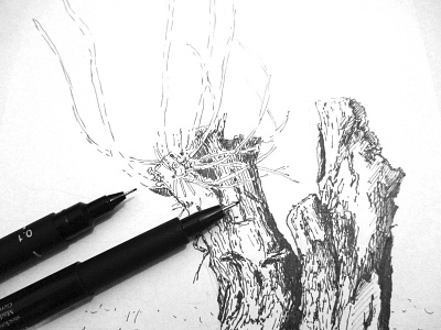 Tree sketch - work in progress blackandwhite penandink sketch tree wip workinprogress