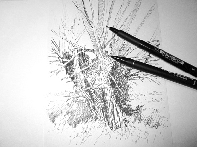 tree - work in progress blackandwhite drawing penandink sketch tree wip workinprogress