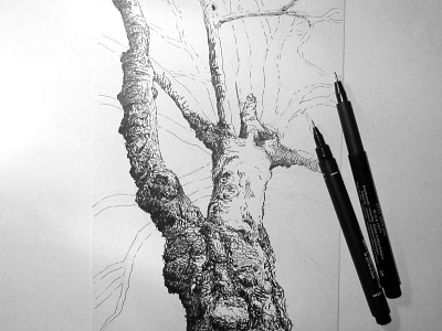 Tree No.4 - Work in progress blackandwhite drawing penandink sketch tree wip workinprogress