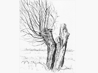 Tree No.2 art blackandwhite drawing penandink sketch tree