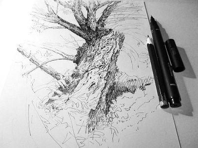 Tree No.5 - Work in progress blackandwhite drawing penandink sketch tree wip workinprogress