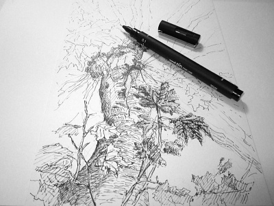Tree No.6 - Work in progress blackandwhite drawing penandink sketch tree wip workinprogress