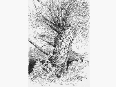 Tree No.5 art blackandwhite drawing illustration penandink sketch tree