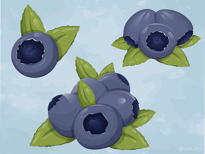 Blueberry berry blueberrie blueberries design forest illustration illustrator leaves purple sticker summer vector