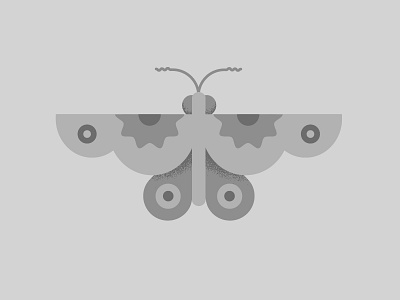 Night Butterfly bug butterfly doodle grey illustration insect night butterfly