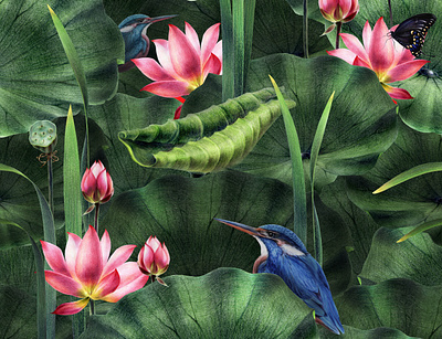 Illustration of a pond with pink lotuses and green leaves. design graphic design illustration рисунок ручной рисунок