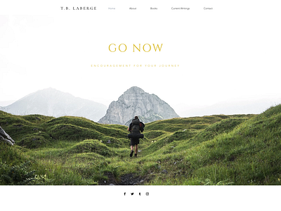 T.B. LaBerge Website Design