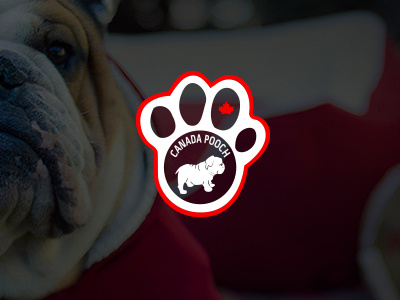 Official Canada Pooch Logo art artwork canada goose design dogs jacket logo pet pitbull pooch pooch logo toronto