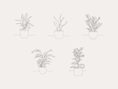 Hand-drawn Houseplant Illustrations design house plant illustration leaves plant plant illustration planting plants pot potted potted plant procreate vector vector art vector illustration