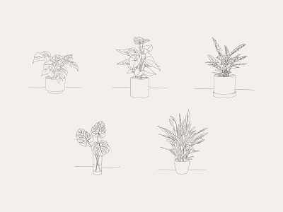 Hand-drawn Houseplant Illustrations design house plant house plants illustration leaves plant plant illustration planting plants pot potted potted plant procreate vector vector art vector illustration