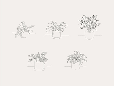 Hand-drawn Houseplant Illustrations design house plant house plants illustration leaves plant plant illustration planting plants pot potted potted plant procreate vector vector art vector illustration