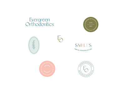 Evergreen Orthodontics Custom Brand Design branding design graphic design illustration logo orthodontics orthodontist orthodontist brand design orthodontist logo design san serif serene typography vector