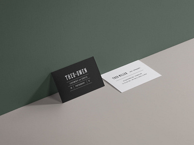 Theo Owen Pre-Made Brand Business Card branding business card collateral design grid icon illustration logo photographer portrait photographer san serif script serif stationery stationery design stationery mockup swoone typography watermark wedding photographer