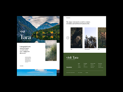 Tara National Park Website branding design graphic design layout design nature ui ux web website