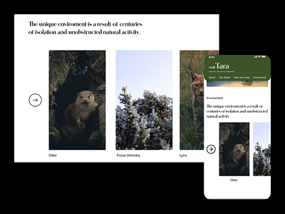 Tara National Park - Mobile branding design graphic design layout design mobile nature ui ux website