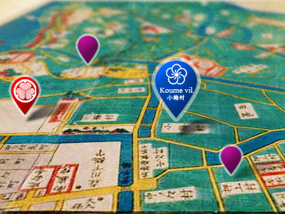 Oldmap birdseyeview