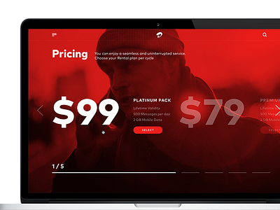 Pricing Plans bigtype dailyui pricing