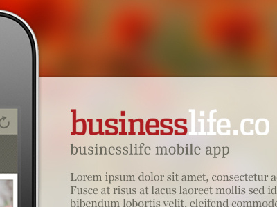 Businesslife Mobile App Landing page app page landing page