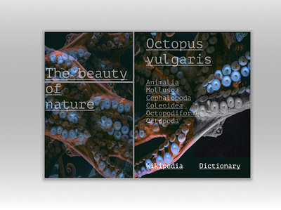 The Beauty of Nature biology branding design digital figma graphic design latin nature presentation science scientific ui