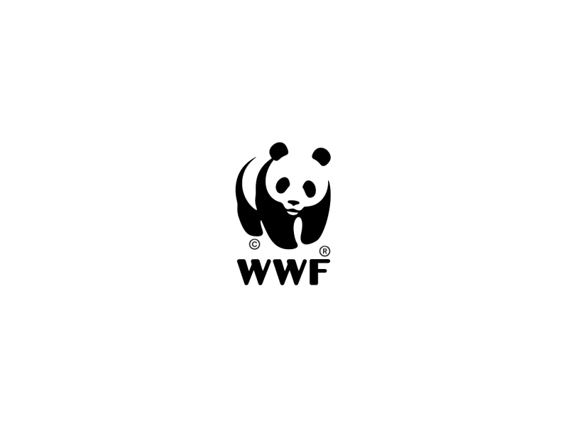 WWF Logo Animation aftereffects animation brandidentity eunoians liquidmotion logo animation motiongraphics waterdrop wwf