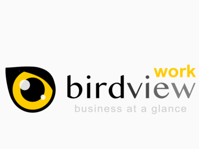 birdview.work time tracking software branding company design idenity illustration logo logotype sign